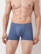 Трусы боксеры мужские хлопковые C&A 2143267_фиол 2XL Фиолетовые (KAY2000001644935) - изображение 1