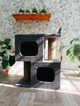 Когтеточка двухэтажная серая с двумя домиками 65х55х35 см - изображение 4