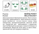 Насіння Рукола Вайлд рокет багаторічна Hortus 50 г - зображення 2