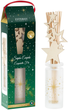 Dyfuzor świąteczny Esteban Exquisite Fir 100 ml (3660963105951) - obraz 2