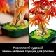 Конструктор LEGO Botanicals Бонсай из японского красного клена 474 детали (10348) - изображение 7