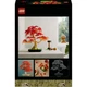 Конструктор LEGO Botanicals Бонсай из японского красного клена 474 детали (10348) - изображение 9