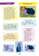Альбом із аплікації та ліплення. 6 рік життя. 2 частина (серія Дитина) - изображение 6