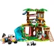 Конструктор LEGO Friends Уход за животными в заповеднике панд 243 детали (42648) - изображение 2