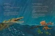 Гроза - зображення 3
