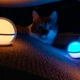 Фонарь кемпинговый Olight Sphere Blue (23704575) - изображение 8