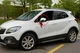 Накладки на зеркала Libao (2 шт, пласт) для Opel Mokka 2012-2021 гг - изображение 3