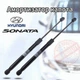 Стойка капота Hyundai Sonata газовый упор, амортизатор капота 1 шт. 81161С1000 - изображение 1