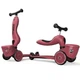 Самокат-біговел 2 в 1 Scoot and Ride Highwaykick 1 Lifestyle Wildcat - зображення 1