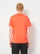 Футболка спортивная для тренировок длинная мужская Puma Essentials Train All Day Foundations 52592123 L Glowing Red с принтом (4069157534260) - изображение 2