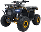 Квадроцикл бензиновий Ramiz Discoverer 125CC Помаранчевий (5903864983760) - зображення 1