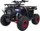 Квадроцикл бензиновий Ramiz Discoverer 125CC Червоний (5903864983807) - зображення 1