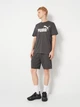 Шорти бавовняні короткі чоловічі Puma Essentials Elevated 68473044 M Dusky Gray (4069157675185) - зображення 3