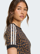 Футболка бавовняна жіноча Adidas Originals Leopard Cali JW7304 M Коричнева (4068811984403) - зображення 5
