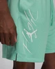 Шорти Air Jordan Essentials Shorts Green FN4647-349 M - зображення 5