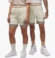 Шорты Air Jordan Dri-Fit Sport Beige DX1487-113 S - изображение 1