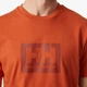 Футболка Helly Hansen Box T Orange 53285-179 M - изображение 5