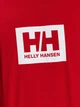 Футболка Helly Hansen Box T Red 53285-162 L - зображення 5
