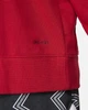 Худи Air Jordan Mens French Terry Pullover Hoodie Red Dj0634-687 L - изображение 6