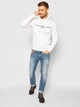 Худи Tommy Hilfiger Logo Beige MW0MW11599 M - изображение 5