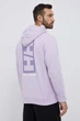 Худи Helly Hansen Core Graphic Sweat Hoodie Violet 53924-699 L - изображение 3