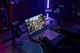 Ноутбук Asus ROG Strix G17 G713PI (G713PI-WB94) Eclipse Gray - зображення 11
