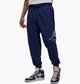 Штани Air Jordan Essentials Fleece Blue FD7345-410 XL - зображення 1