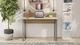 Письмовий стіл Ferrum-decor Скай 75x100x60 сірий ДСП Дуб Сонома 16мм (FRD-101532) - зображення 4