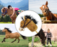 Koń na kiju Milly Mally Hobby Light Brown 6087 (5901761127331) - obraz 10