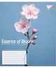 Набор тетрадей ученических общих YES Essence Of Bloom А5 96 листов в линию 5 шт (4823092293244) - изображение 3