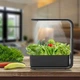 Гидропонная систем Smart с LED подсветкой для домашнего выращивания сада 15 Вт посадочных мест 3 - изображение 4