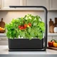 Гидропонная систем Smart с LED подсветкой для домашнего выращивания сада 15 Вт посадочных мест 3 - изображение 2