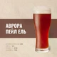 Зерновой набор Аврора Пейл Эль для варки 20 литров пива с насыщенным вкусом - изображение 2