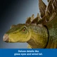 Динозавр Стегозавр Світ Юрського Періоду Jurassic World Hammond Collection Stegosaurus Dinosaur Mattel (JCH08) - изображение 3