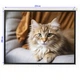 Проекционный экран EQUIPIFY SGM-4305 настенный потолочный 135" 274x206см 4:3 - изображение 9