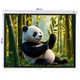 Проекционный экран EQUIPIFY PSBC150 настенный потолочный 150" 300x220см 4:3 - изображение 6