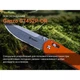 Нож складной Ganzo G7452P-OR - изображение 5