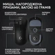 Мышь Logitech G Pro X Superlight 2 LightSpeed Wireless Black (910-006630) - изображение 6