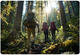 Kijki trekkingowe Neo Sport NS-383 (5903890621810) - obraz 11
