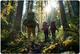 Kijki trekkingowe Neo Sport NS-380 (5903890621742) - obraz 11