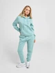Худи на флисе женское Nike W Nsw Phnx Flc Std Po Hoodie HF6839-017 S Мятное (0198484924858) - изображение 9