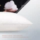 Подушка COTE BLANC "PRESTIGE", 40x60 - изображение 5