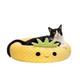 Legowisko dla zwierząt domowych Maui The Pineapple Squishmallows 50 cm (191726502104) - obraz 4