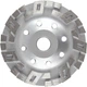 Диск алмазный шлифовальный Alloid Pro Advanced Segment 125 мм (DG-3125AS) - изображение 1
