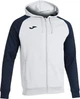 Олимпийка Joma с капюшоном ACADEMY IV 101967.203 101967.203 Размер EU: L - изображение 6