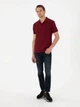 Поло длинное мужское Pierre Cardin G021GL011-000-2186292 2XL Бордовое (8683858466222) - изображение 3
