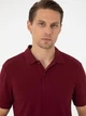 Поло длинное мужское Pierre Cardin G021GL011-000-2186292 2XL Бордовое (8683858466222) - изображение 5
