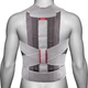 Коректор постави Ottobock Dorso Carezza Posture 50R49-M - зображення 1
