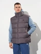 Теплый жилет мужской Adidas Originals JX4125 L Серый (4068809625424) - изображение 1