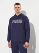 Худи утепленное мужское Puma Essentials Graphics 68466106 M Navy (4067983628948) - изображение 1